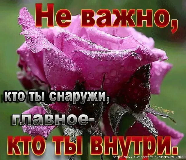 Не важно какой. Неважно кто ты снаружи главное кто ты внутри. не важно какой ты снаружи. неважно что снаружи важно что внутри. не важно какой ты снаружи главное какой ты внутри цитаты.