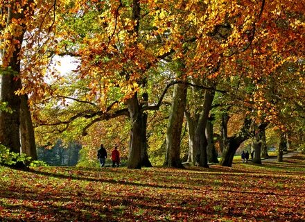 Park seasons
