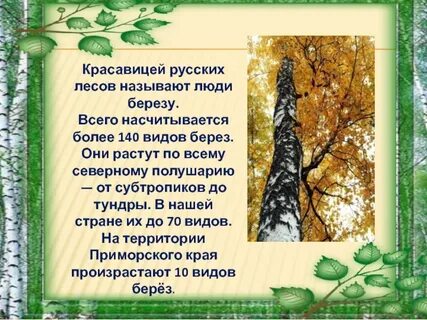Главная мысль произведения береза