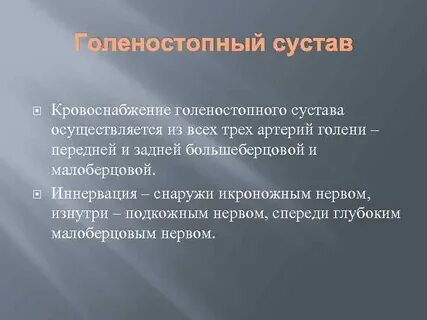 Кровоснабжение голеностопного сустава