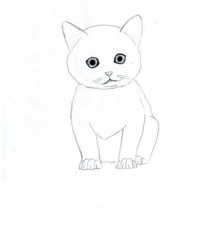 Котенок простой рисунок. Котята карандашом для начинающих. самый легкий рисунок котенка. рисунок котика легкий детский. котёнок рисунок карандашом.