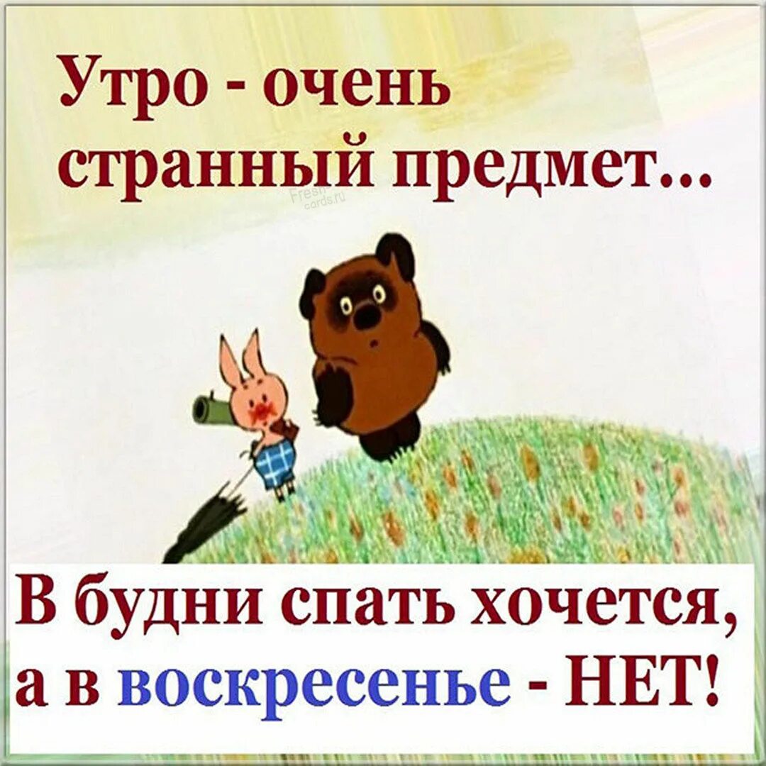 Работа воскресные дни. Воскресенье картинки прикольные. Воскресенье приколы. Хорошего воскресенья прикольные. Открытки с воскресеньем прикольные.