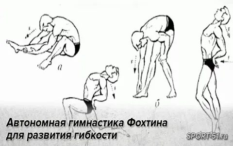 Под гибкостью понимается