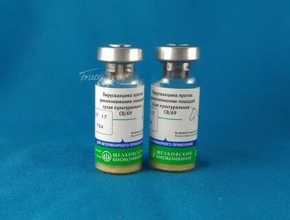Вакцина ринопневмония лошадей инструкция