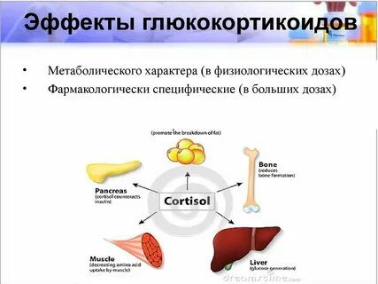 Действие глюкокортикоидов
