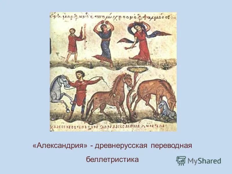 александрия сербская. сочинение александрия были собраны легенды и предания. александрия сербская. александрия книга древней руси. переводная повесть «александрия»,.