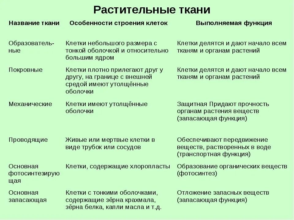 Таблица строение клетки особенности строения функция. Биология 6 класс ткани растений основные ткани таблица. ткани растительного организма таблица 6 класс по биологии. основные функции тканей растений 6 класс. строение клеток основной ткани растений.