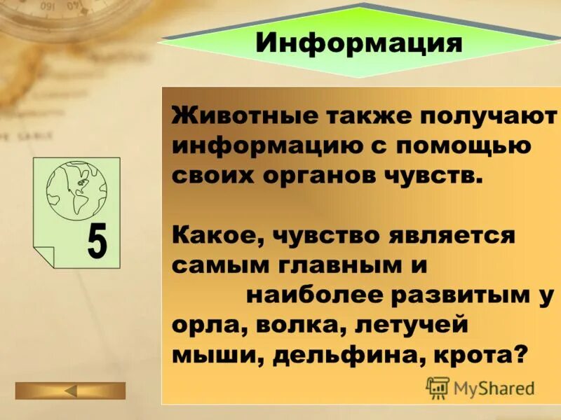 Действия с информацией 5