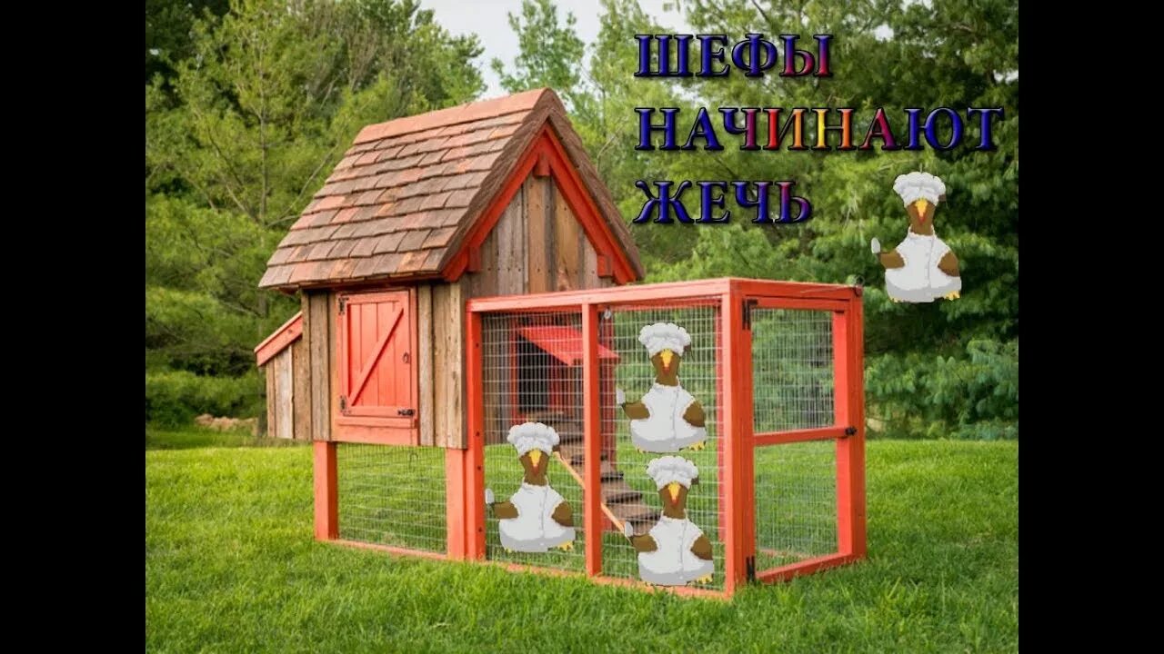 Курятник иллюстрация. Птичник тг. Чикен ран игра. Игра курочка. Птичий двор для детского сада.