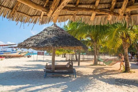 Tropicana kendwa 3