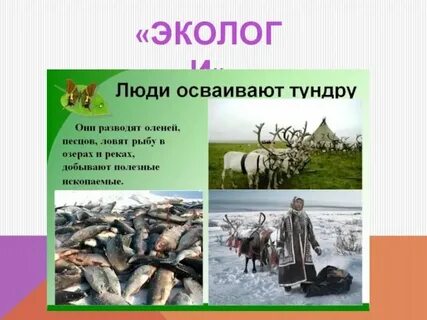 Тундра хозяйственная деятельность человека