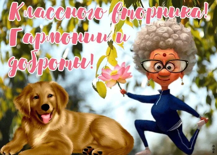 Доброе утро вторника октября. Привет вторник. отличного вторника прикольные. привет вторник прикольные. открытки привет вторник.