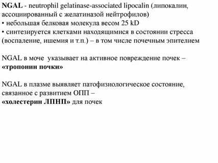 Почечный маркер