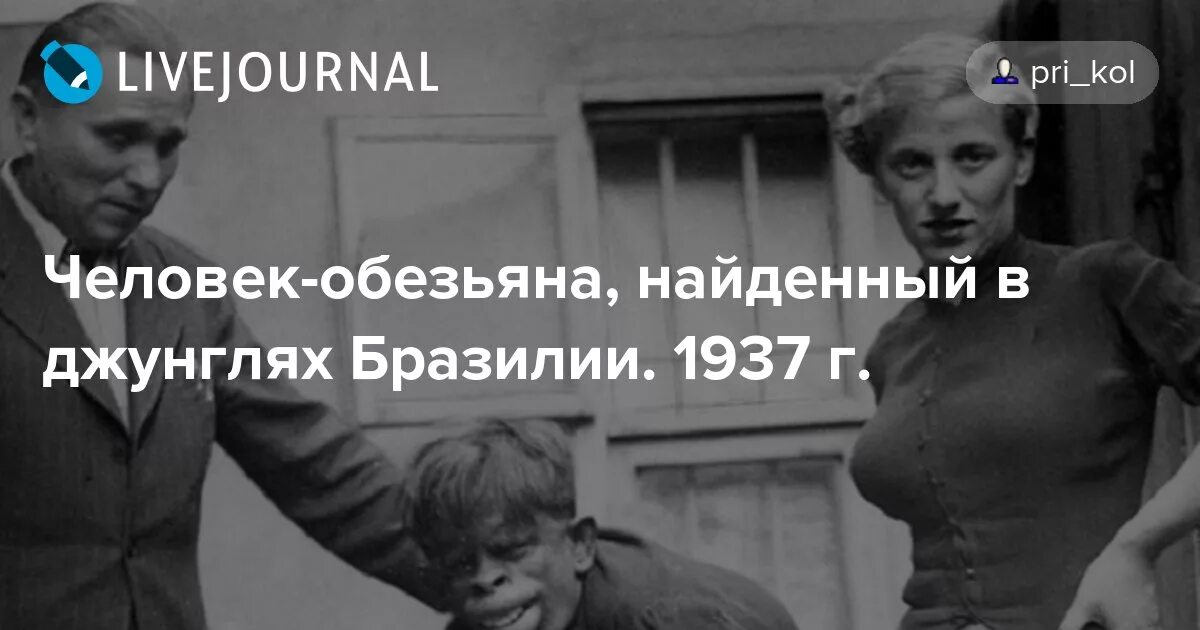 человек-обезьяна, найденный в джунглях бразилии, 1937 г. гибрид человека и обезьяны найденный в джунглях бразилии 1937. человек-обезьяна в джунглях бразилии, 1937. скрещивание обезьян с людьми. человек обезьяна найденный в бразилии 1937.
