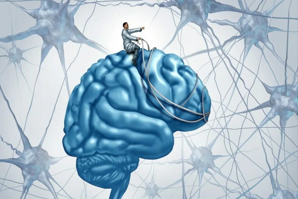 Механизмы работы мозга. Изображение мозга. Мозг арт.