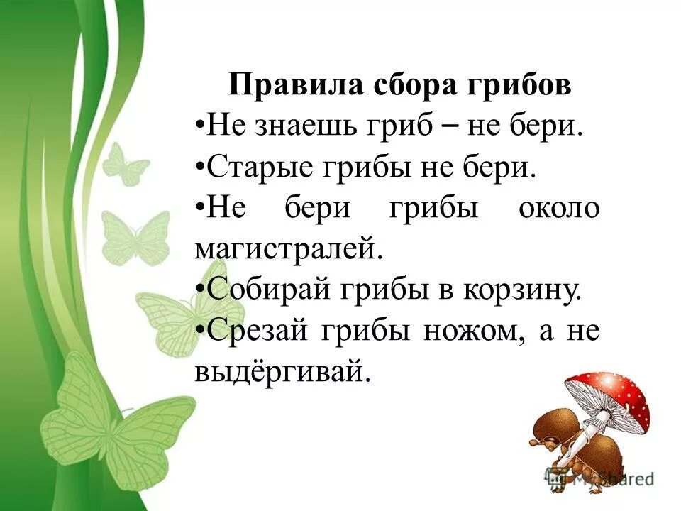Мы знаем что когда берешь грибы