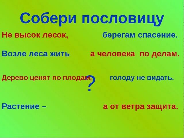 Высокие не едят. Собери пословицу. Пословицы о земле и природе. Возле леса жить пословица. Пословица около.