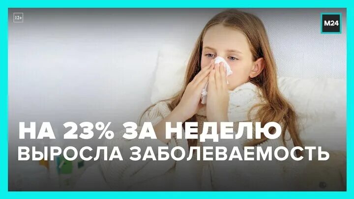 Орви в москве сейчас 2024
