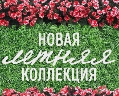 Новая лета