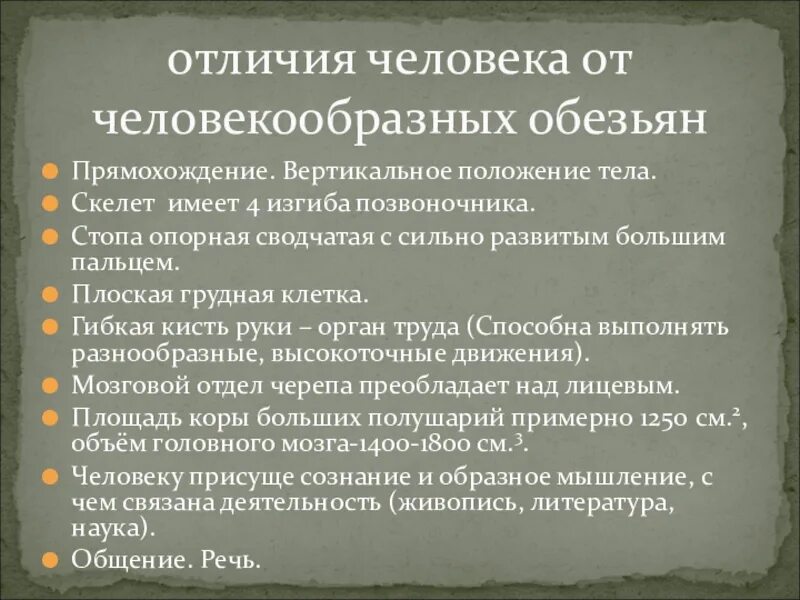 Что отличает человекообразную от человека. Человек в отличие от человекообразных обезьян обладает. Сходства и различия человека и человекообразных обезьян. Отличия человека от человекообразных обезьян мозговой отдел. Вертикальное положение тела у человека и человекообразных.