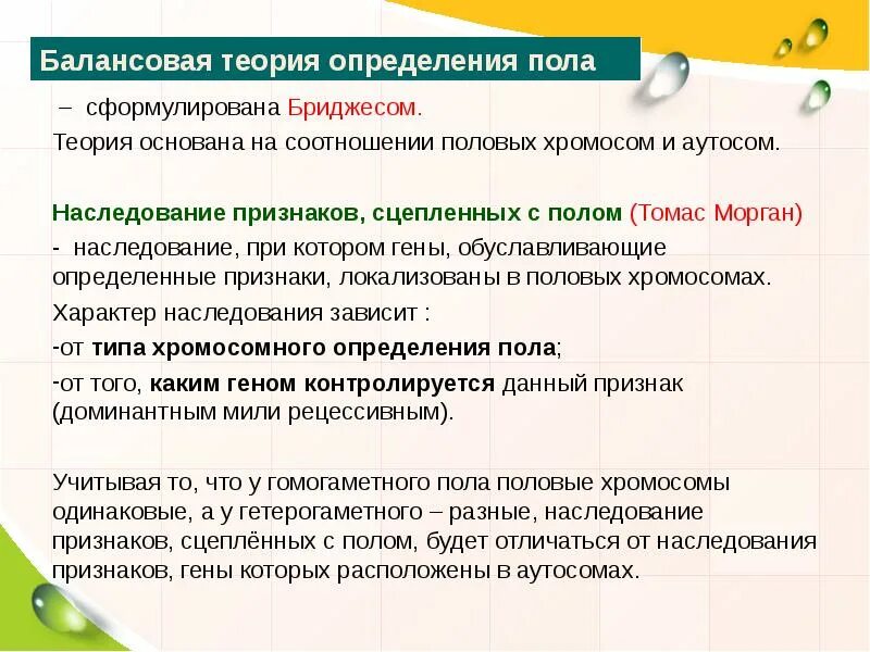 Теория определения пола. Балансовая теория пола. Балансовая теория определения пола у дрозофилы. Хромосомная и балансовая теория пола.