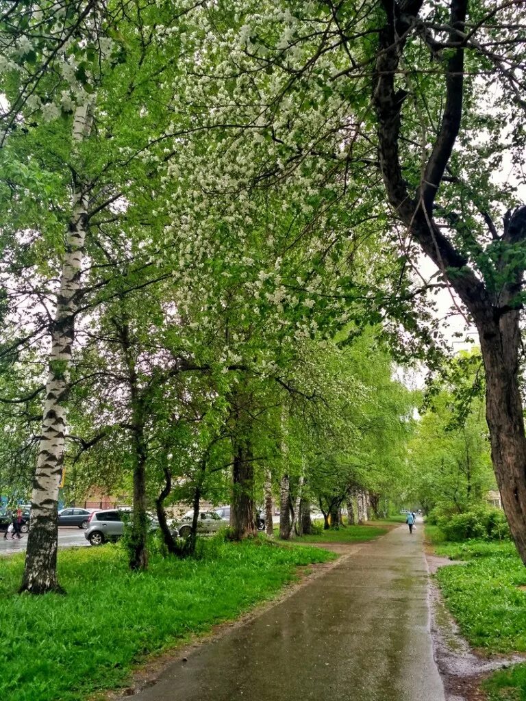 Погода в глазове на август 2024. Глазов. Погода в глазове на август 2024. Глазов город. Погода в глазове на август 2024.