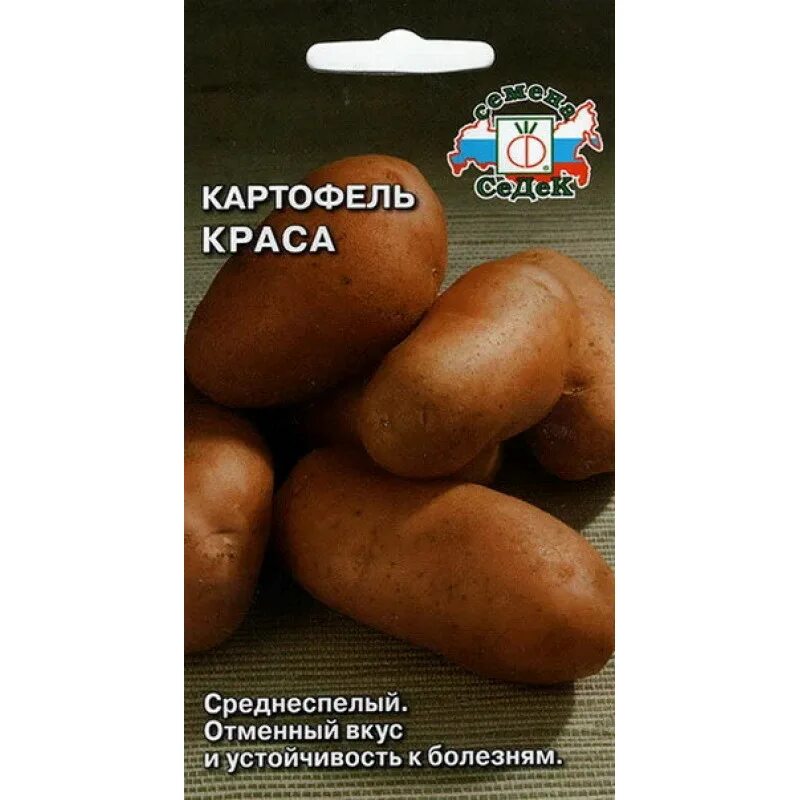 Картофель Краса СЕДЕК. Сорт картофеля Краса. Семена картофель Краса. Семена картофель Краса СЕДЕК. Картофель краса отзывы