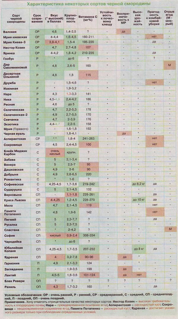 Жимолость сроки созревания. Сроки цветения жимолости по сортам таблица. Таблица сравнения черной смородины. Сорта клубники по срокам созревания в таблице. Черная смородина сорта таблица.