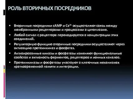 Роль посредника между гражданским обществом