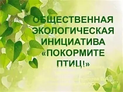 Поддержка экологических инициатив