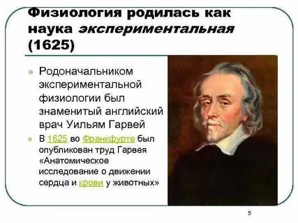 Экспериментальная физиология