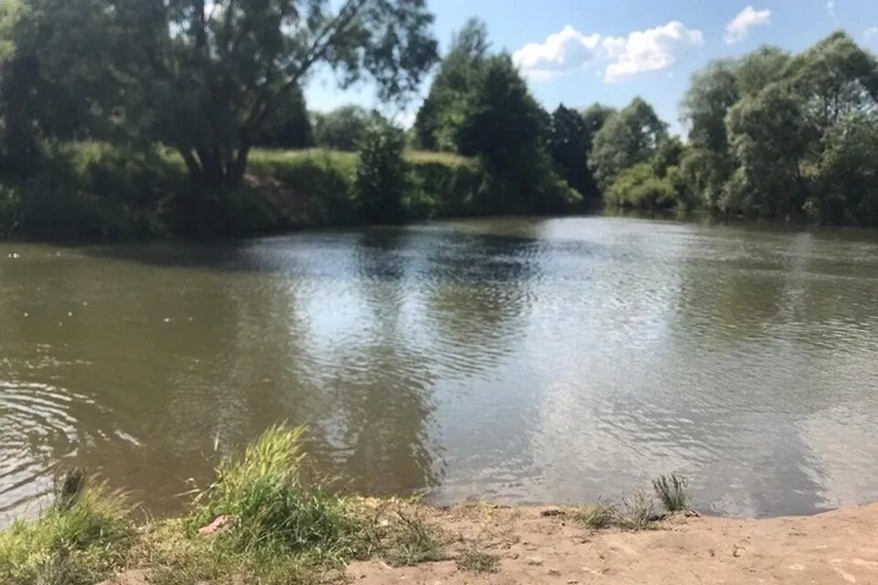 Вода в черемшане