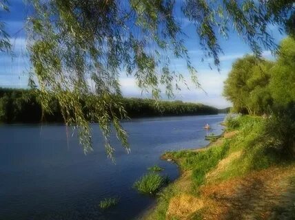 Не берегу реки