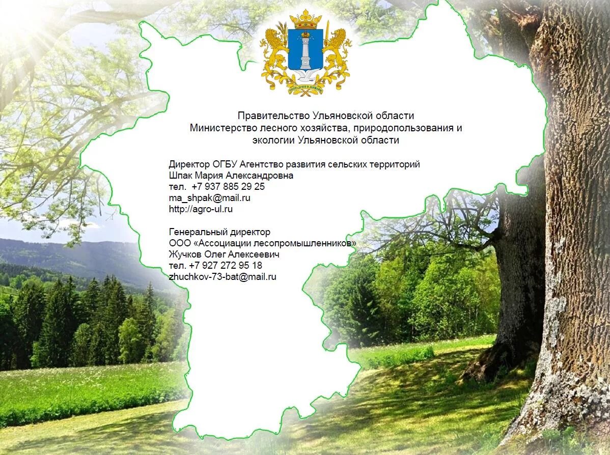 день работников леса и лесоперерабатывающей промышленности. министерство экологии природопользования и лесного хозяйства. право собственности на природные ресурсы экологическое право. структура управления лесным хозяйством пермского края. структура природных ресурсов.