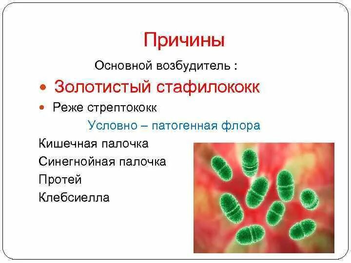 Стафилококк и стрептококк вызывает. Стафилококк и стрептококк вызывает