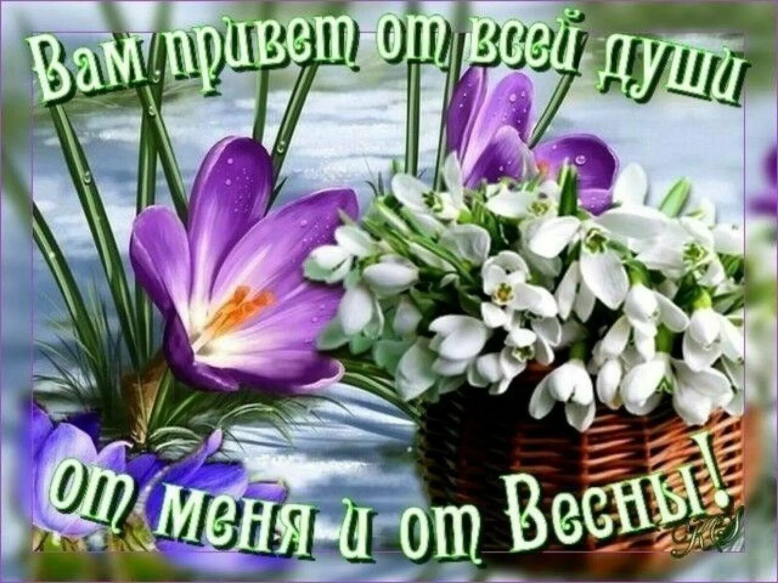 Пин от пользователя Валентина Лютвинская на доске 15 апреля Весна