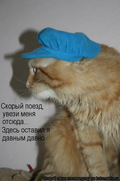 скорый увези меня отсюда. скорый увези меня отсюда. хотела на твою кепку. забирай меня скорей увози за 100 морей. стихотворение про поезд, который увозит.