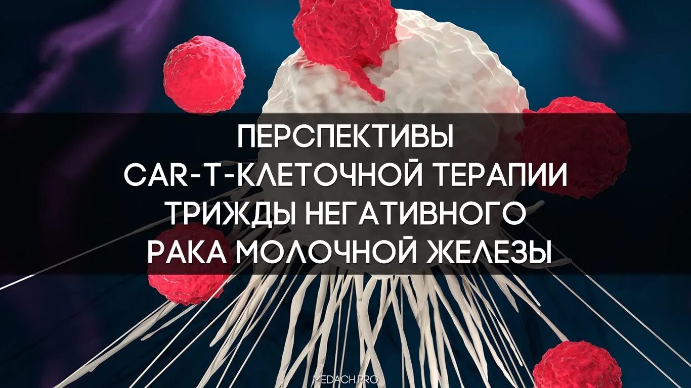 Трижды негативный рак прогнозы. Трижды негативный рмж. трижды негативный. рецидив при трижды негативном рмж. перспективы car т-клеточной терапии..