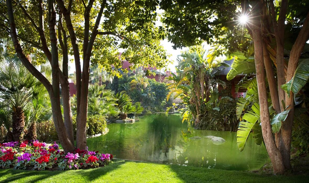 Парк азалии китай. Георгина дезлинг сан. Шриланка уна ватуна отельflower carden. Flower garden шри ланка унаватуна. Flower garden 3 шри-ланка унаватуна.