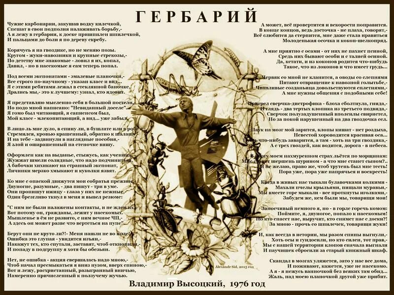 Песня гербарий. Букет «гербарий». Песня гербарий. Поэтический гербарий. Хобби гербарий.