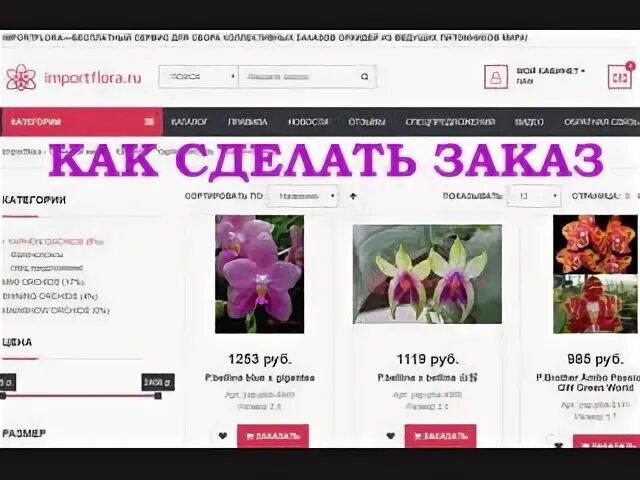 Импортфлора. ИМПОРТФЛОРА ру. ИМПОРТФЛОРА отзывы. Мир Флоры Калининград питомник.