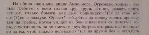 Из обоих окон мне было видно море