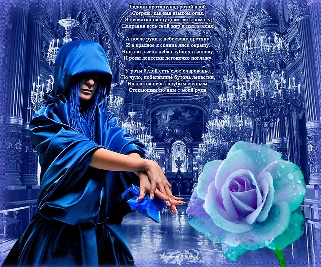 Стих про синие розы. Голубые розы стихи.