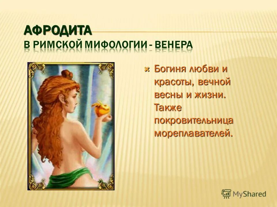 Число афродиты