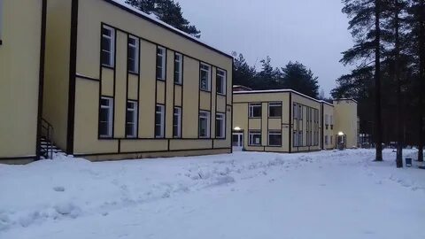 Пионер пензенский