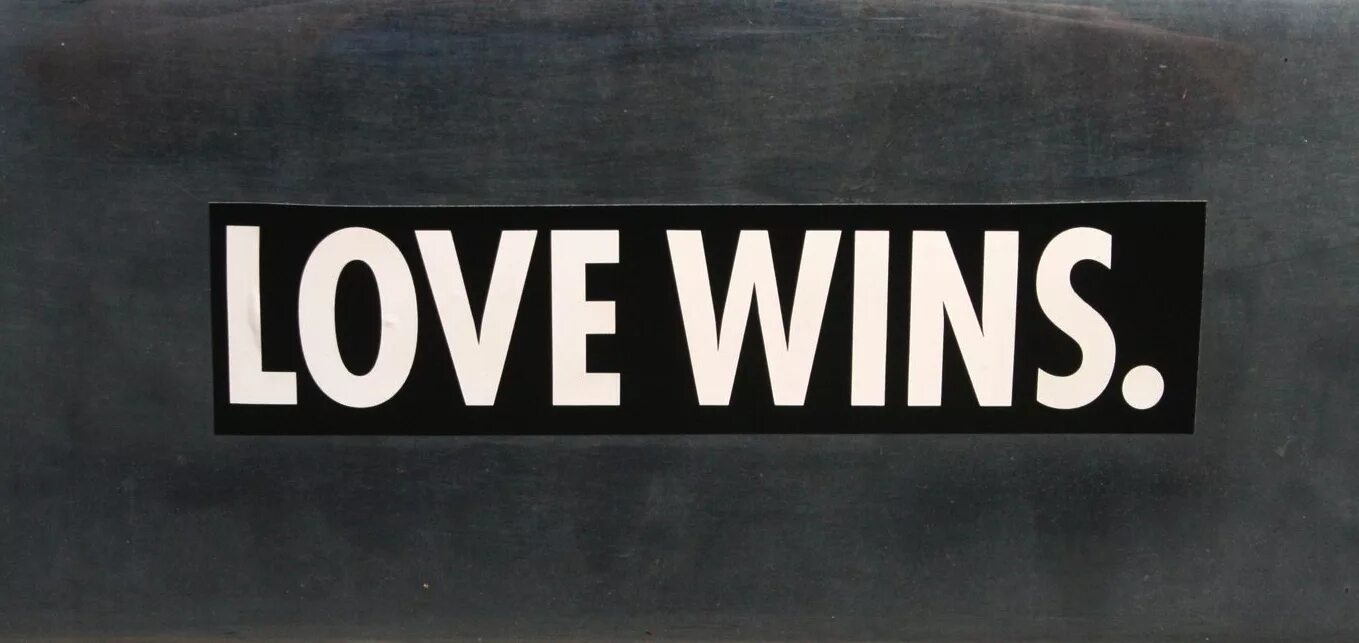 Love wins all текст
