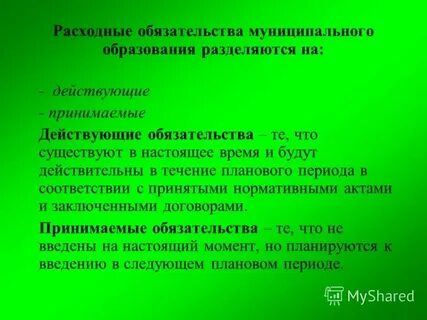Реестр расходных обязательств это