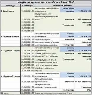 Таблица инкубации для блиц норма