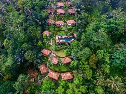 Jungle resort