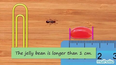 How Long is 1 Centimeter?